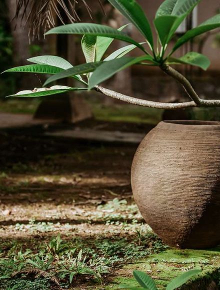 sri lanka pottery products